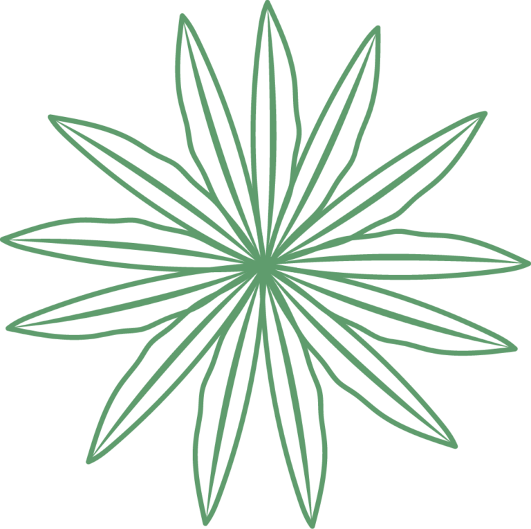 Lupine Leaf