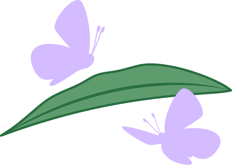 Butterflies on Leaf