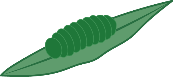 Caterpillar