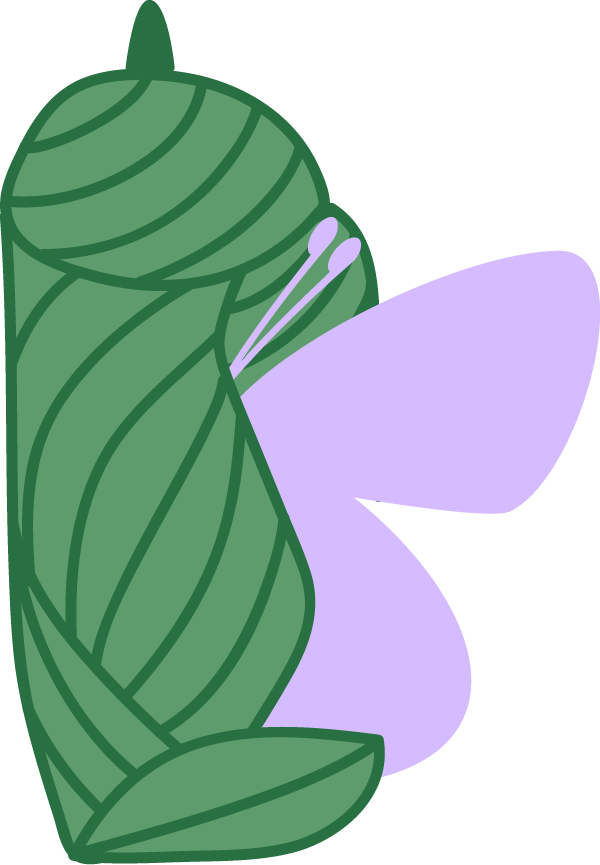 Cocoon