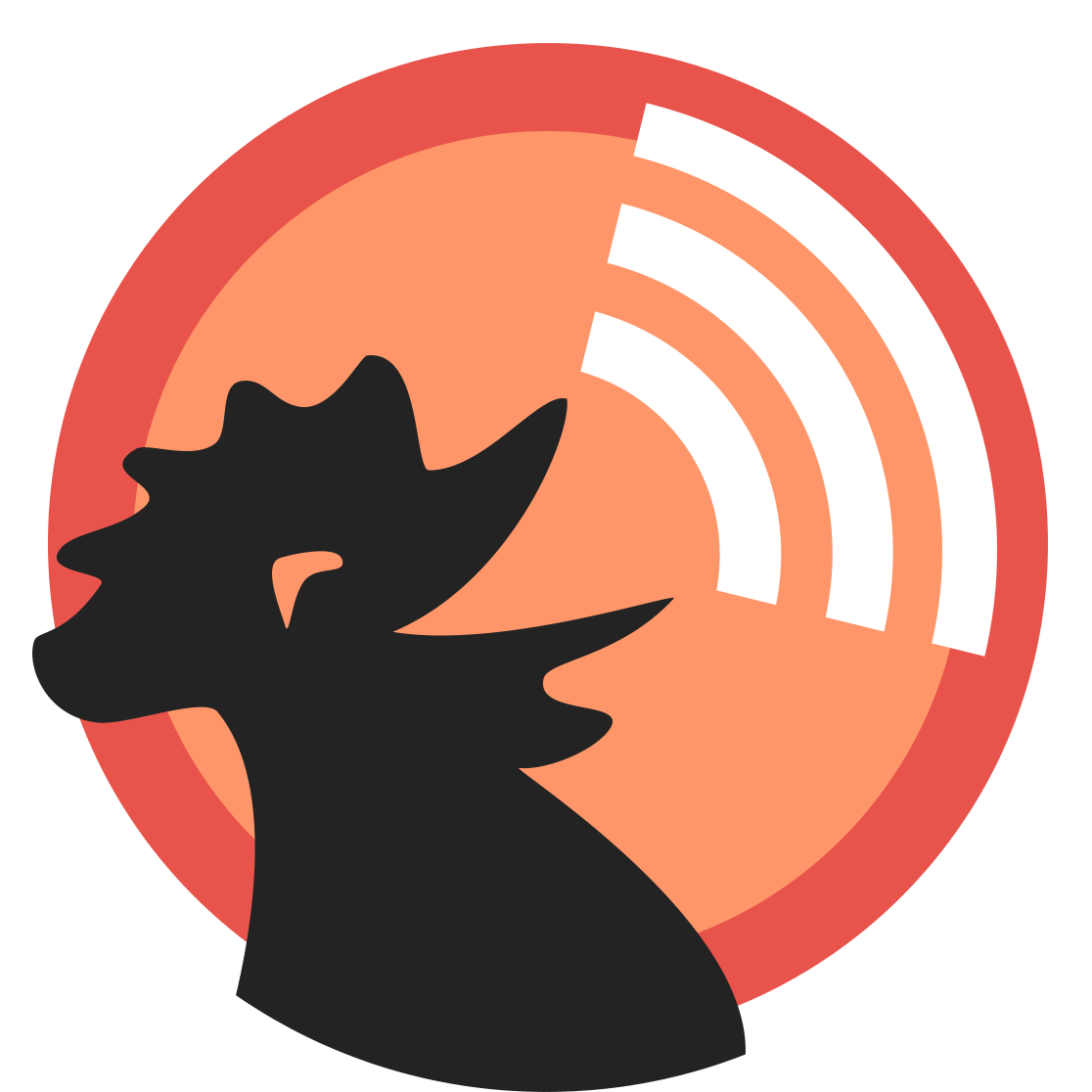 Roost Web Strategies