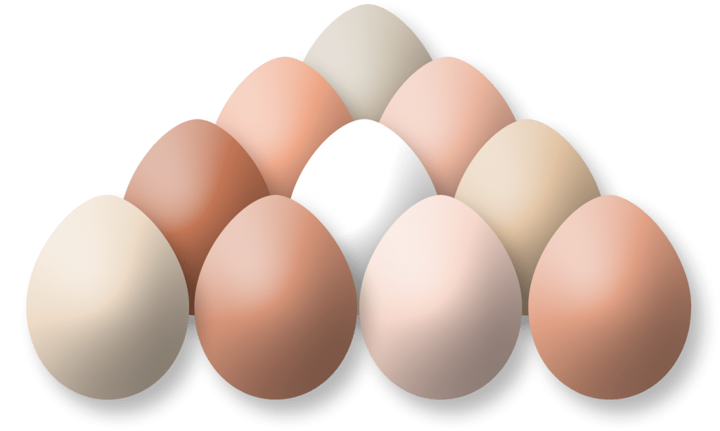 Many Eggs